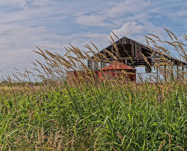 old barn in field