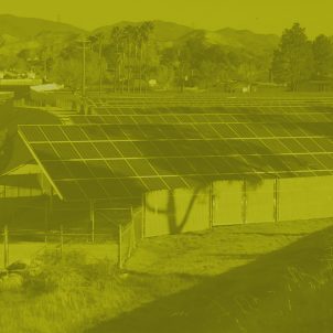 solar panels