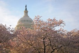 spending bills passed by congress